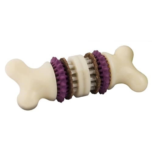 PetSafe Busy Buddy Bristle Bone Dog Chew Toy - Promotes Dental Health - Durable Nylon & Rubber - Treat Dispensing Design - Interactive Play - Refillable Treat Rings Included