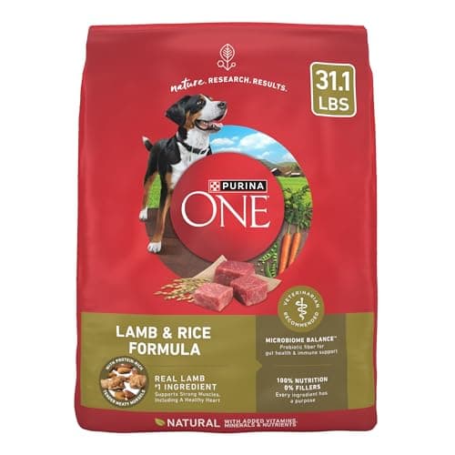 Purina ONE Dry Dog Food Lamb and Rice Formula - 31.1 lb. Bag