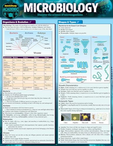 Microbiology: a QuickStudy Laminated Reference Guide (Quick Study Academic)