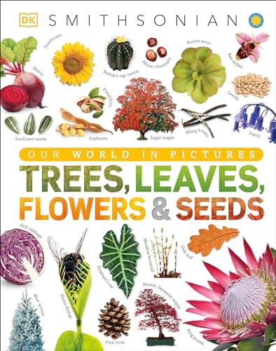 Trees, Leaves, Flowers & Seeds: A Visual Plant Encyclopedia for Kids (DK Our World in Pictures)